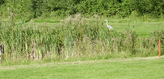 Golfclub Brodauer Mühle e.V.